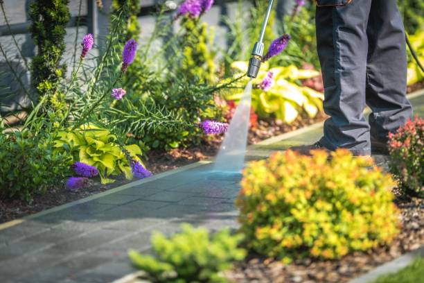 Best Pool Deck Cleaning in Mcadenville, NC
